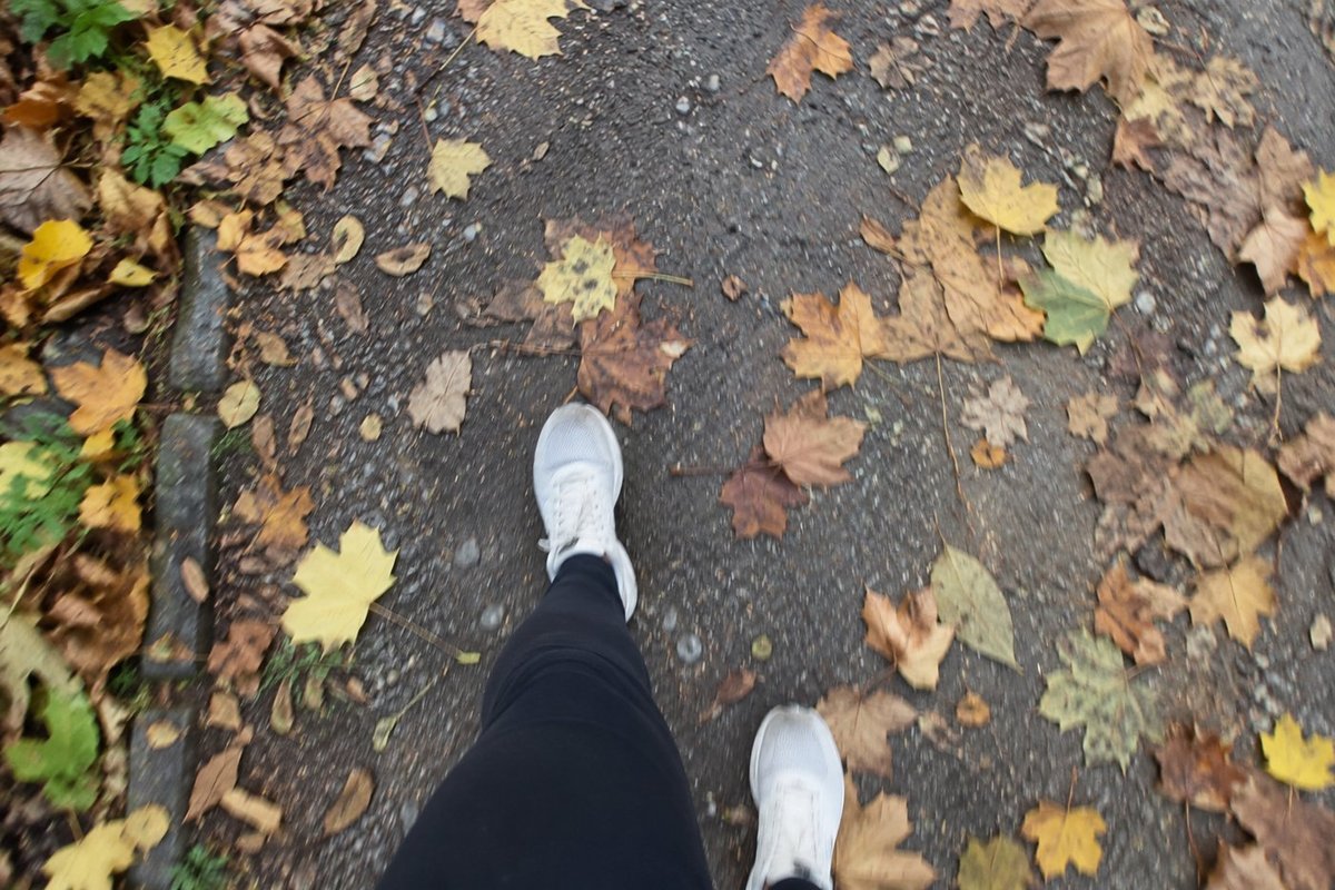 Des baskets sur un chemin de parc couvert de feuilles d’automne, le matin